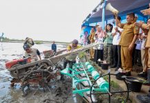 Indeks Ketahanan Pangan Banten Masuk Kategori Tangguh