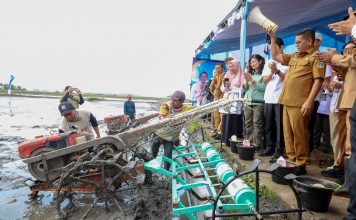 Indeks Ketahanan Pangan Banten Masuk Kategori Tangguh