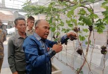 Wujudkan Ketahanan Pangan, Pemerintah dan DPRD Banten Dorong Pengembangan Pertanian Perkotaan