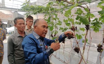 Wujudkan Ketahanan Pangan, Pemerintah dan DPRD Banten Dorong Pengembangan Pertanian Perkotaan
