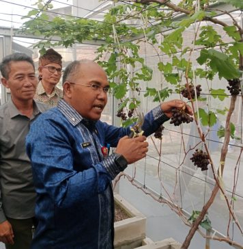 Wujudkan Ketahanan Pangan, Pemerintah dan DPRD Banten Dorong Pengembangan Pertanian Perkotaan