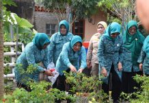 10 Program Pokok PKK di Kota Tangsel Dinilai Tim PKK Banten
