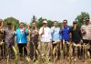 Dukung Ketahanan Pangan, KNPI Panen Raya Jagung di Lebak