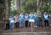 Krakatau Posco Berkolaborasi dengan Perhutani untuk Mendukung Pengkayaan Tanaman di Gunung Pinang