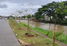 Banksasuci Foundation dan Aktivis Kalung Tanam Pohon di DAS Cisadane