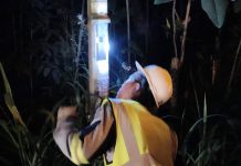 BPTD Banten Turun Tangan Perbaiki PJU Serang-Pandeglang yang Rusak Dicuri Maling