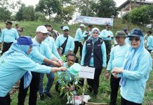 Pemkab Serang Tanam 500 Pohon di area Bendungan Sindangheula