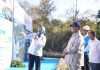 Presiden Luncurkan Program PLTS 100 GWp di Gilamanuk Bali