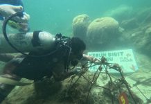 Program TJSL Desa Berdaya PLN, Masyarakat Desa Tanjung Seloka Kalimantan Selatan Merasa Terbantu