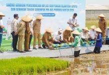 KPwBI Banten Perkuat Sinergi Melalui Pelaksanaan GPIPS Tahun 2026