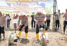 Polda Jabar Bersama Petani Tanam Jagung Serentak di Lahan Lahan Baku Sawah Seluas 165 Hektar