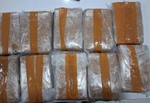 Ditresnarkoba Polda Banten Bongkar Peredaran Narkoba, 11 Kg Ganja Disita